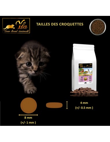 Croquettes Sans Cereale Pour Chaton Comptine Des Babines Par Yla