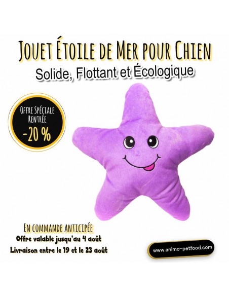 Jouet Étoile de Mer pour Chien - Solide, Flottant et Écologique
