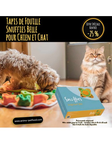 Tapis de fouille éducatif pour chien et chat