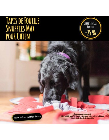 Tapis de fouille pour chien grande taille