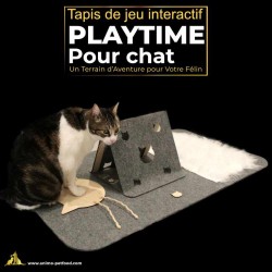 Tapis de jeu pour chat, idéal pour le bien-être et l'activité intérieure.