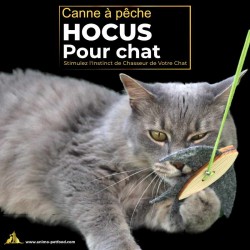 Canne à pêche interactive pour chat avec jouet oiseau, idéale pour stimuler l'instinct de chasse