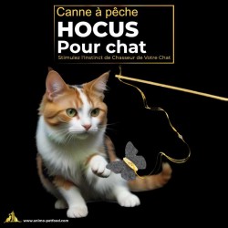 Canne à pêche interactive pour chat avec papillon, idéale pour éveiller l'instinct de chasse