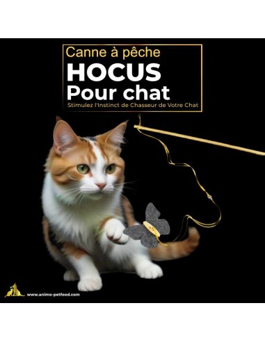 Canne à pêche interactive pour chat avec papillon, idéale pour éveiller l'instinct de chasse