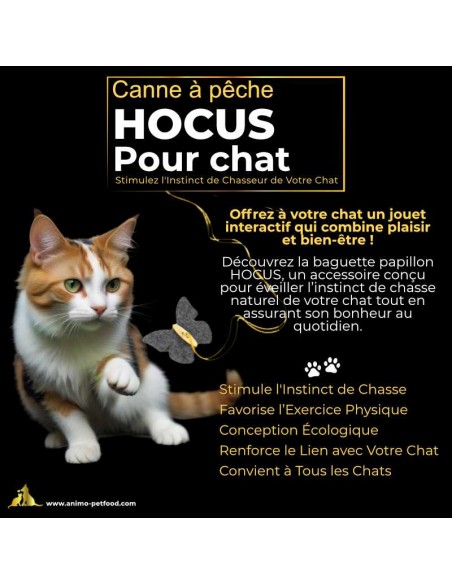 Jouet pour chat canne à pêche avec papillon, parfait pour des jeux dynamiques et engageants