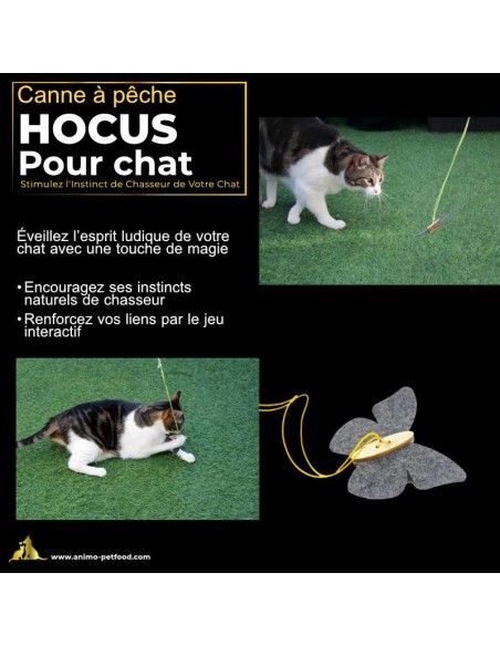 Canne à pêche pour chat durable avec papillon, conçue pour des heures de jeu interactif