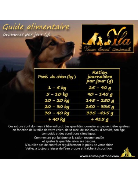 Guide d'alimentation pour chien avec croquettes sans céréales au bœuf, adapté à toutes les races