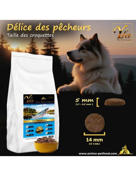 taille croquettes saumon-truite pour mastication optimale