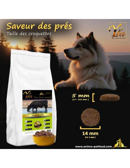 Croquettes sans céréales adaptées à la taille des mâchoires des chiens adultes pour un confort optimal