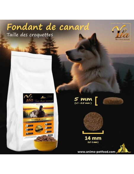 Croquettes Fondant de canard pour chien adulte, taille idéale pour faciliter la digestion et le confort alimentaire