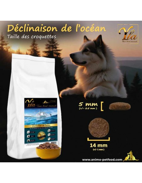 Taille et forme des croquettes pour chien adaptées à toutes les races, avec un diamètre de 14 mm et une épaisseur de 5 mm