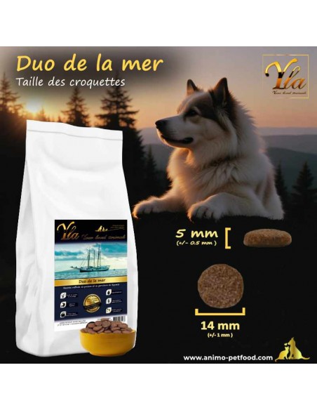 Importance de la taille des croquettes pour la santé du chien