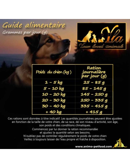 ration alimentaire quotidienne pour chien adulte