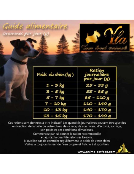 Ration quotidienne équilibrée pour chiens de petite race