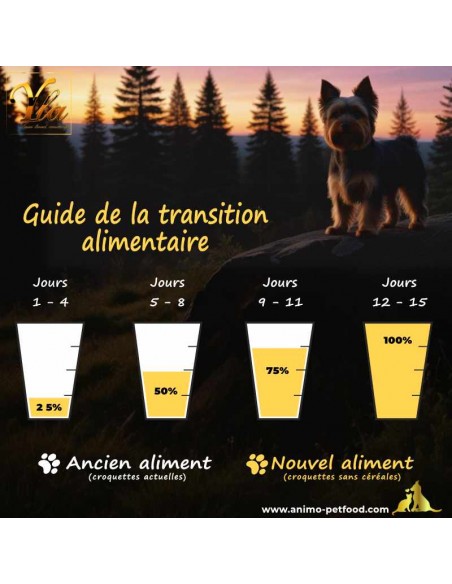 Changer l'alimentation de votre chien : conseils pratiques