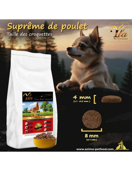 Alimentation adaptée pour chiens de petite race avec des croquettes de 8 mm de diamètre