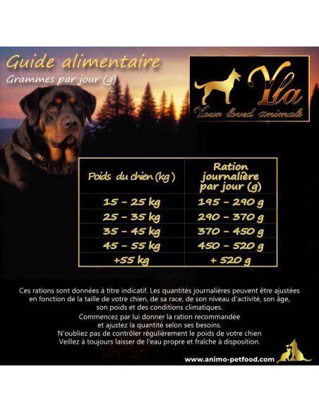 Chien de grande race avec ration alimentaire équilibrée