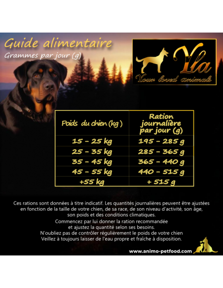 Rations alimentaires idéales pour chiens de grandes races