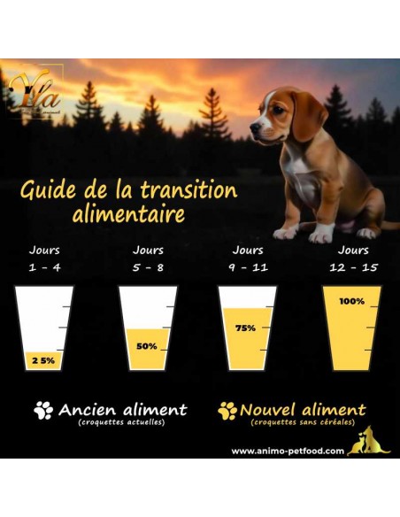 conseils pour réussir la transition alimentaire d'un chiot