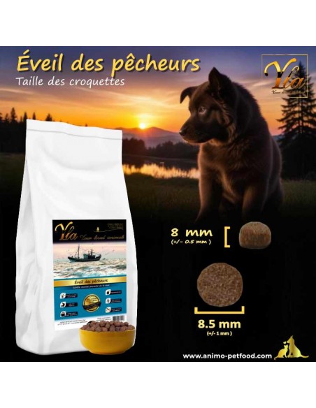 alimentation chiot avec croquettes de petite taille et texture croquante pour la santé dentaire