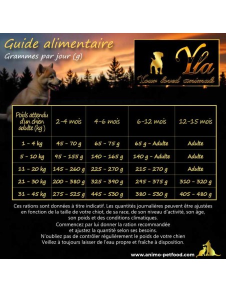 Guide pour la ration de croquettes sans céréales pour chiots