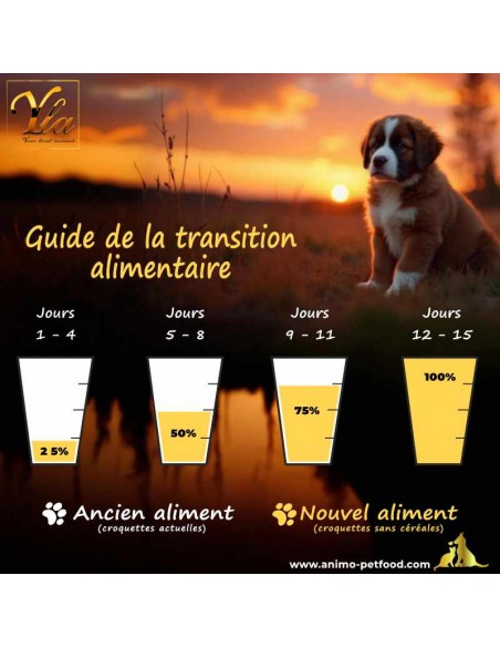 Comment introduire de nouvelles croquettes pour chiots de grande race sans risques, avec une méthode de transition progressive