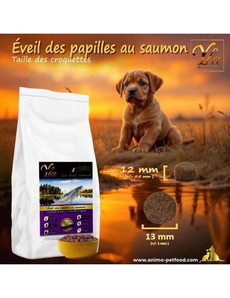 Croquettes adaptées pour chiots de grandes races, favorisant bien-être et croissance.