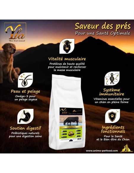 Aliment hypoallergénique sans gluten pour chiens, avec des protéines de bœuf Angus