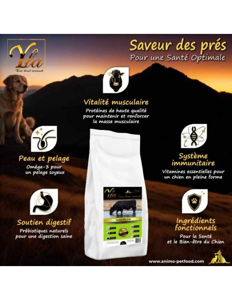 croquettes pour chien, riches en nutriments, sans céréales ni gluten, à base de bœuf Angus