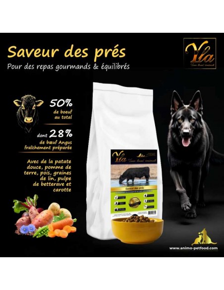 Alimentation premium pour chiens à digestion sensible, bœuf Angus sans céréales.