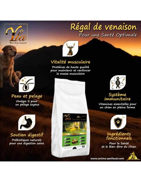 Alimentation sans céréales pour chien souffrant de troubles digestifs et intolérance au gluten