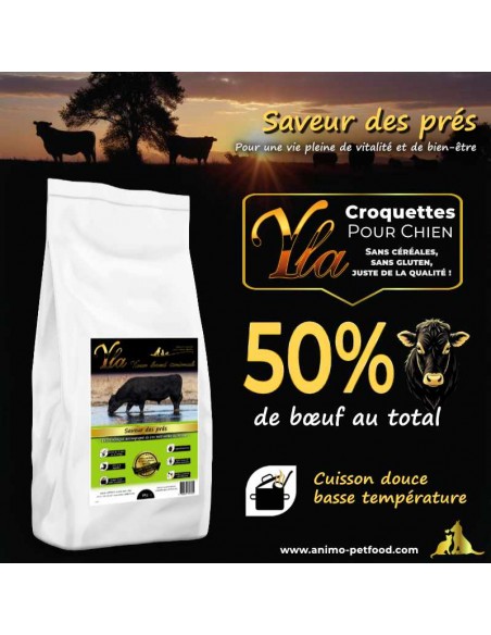 Croquettes hypoallergéniques au bœuf pour chiens adultes sensibles, digestion saine