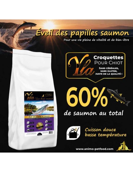 Croquettes sans céréales hypoallergéniques au saumon pour chiots de grande race, favorisant croissance et digestion optimale