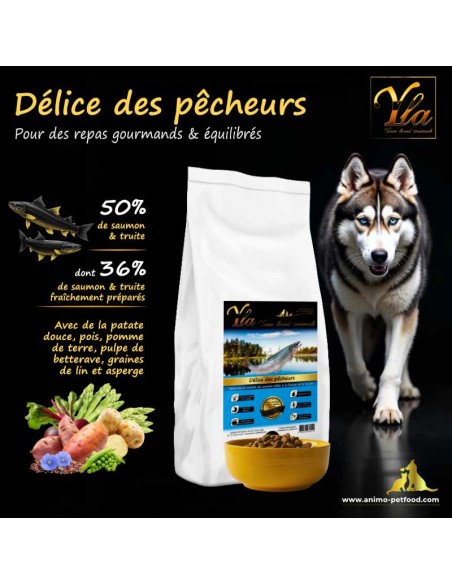 croquettes sans céréales au saumon et truite, formulées pour améliorer la peau et le pelage des chiens sensibles.