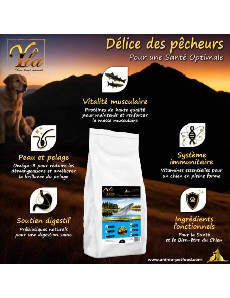 Croquettes hypoallergéniques au saumon et truite, idéales pour les chiens sensibles.