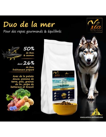 Alimentation pour chien avec irritations de la peau, croquettes apaisantes au saumon et thon