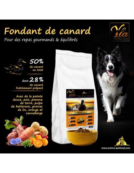 Croquettes premium hypoallergéniques au canard, conçues pour les chiens souffrant de troubles digestifs et d’allergies