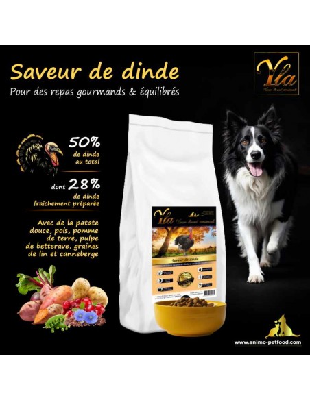 Croquettes sans céréales à la dinde, hypoallergéniques et adaptées aux chiens souffrant d’allergies