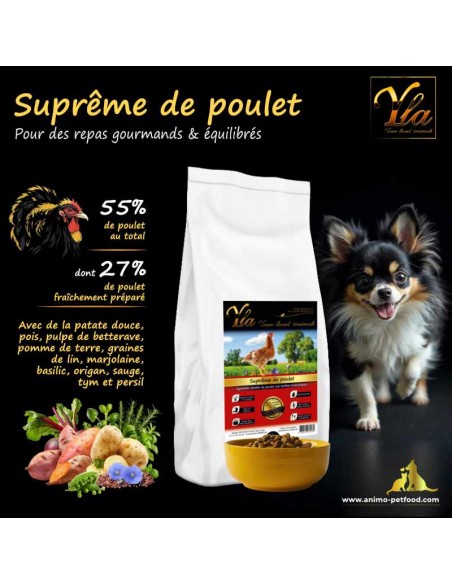 Croquettes hypoallergéniques pour chiens de petite race, sans céréales, sans gluten, au poulet