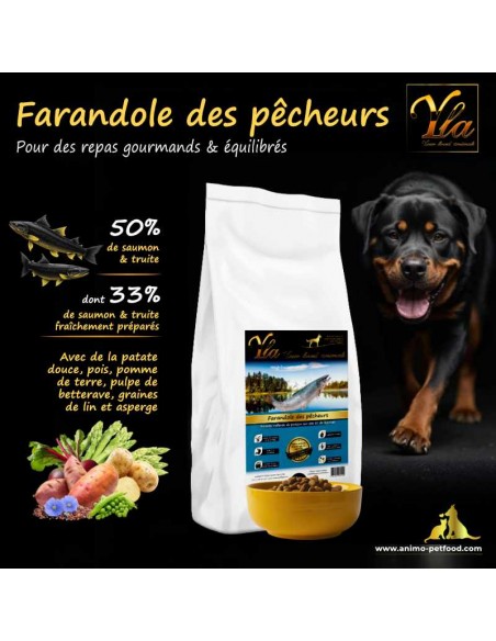 Nourriture pour chien de grande race avec peau sensible, sans céréales et riche en saumon et truite