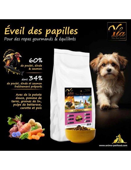 Croquettes hypoallergéniques pour chiots, sans céréales ni gluten, adaptées aux sensibilités alimentaires.