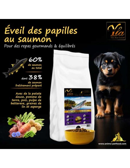 Croquettes pour chiots de grande race, à base de saumon, hypoallergéniques et sans gluten, adaptées aux peaux sensibles.