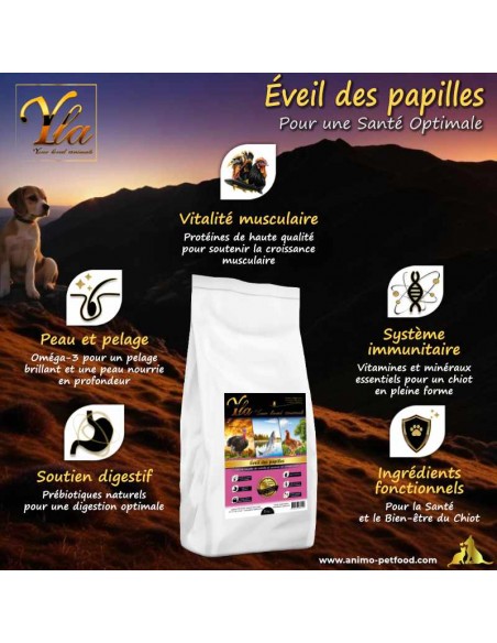 Croquettes premium pour chiots sensibles, avec prébiotiques et oméga-3 pour digestion et pelage sain