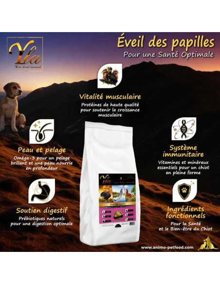 Croquettes sans céréales et gluten pour chiots sensibles, idéales pour leur croissance.