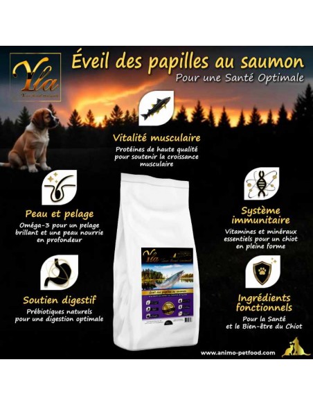 Croquettes hypoallergéniques au saumon pour chiots de grande race, sans céréales, pour une digestion optimale.