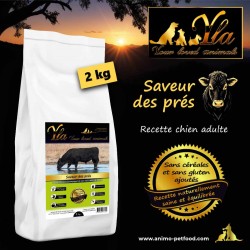 Croquettes pour chien adulte au bœuf Angus, sans céréales, hypoallergéniques et naturelles