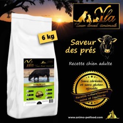 Alimentation canine équilibrée au bœuf Angus, sans céréales ni gluten, recette hypoallergénique