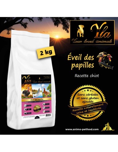 Croquettes hypoallergéniques pour chiots, sans céréales, adaptées aux peaux sensibles et aux digestions sensibles