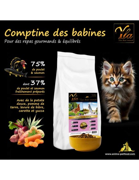 Croquettes pour chaton, favorisant la santé digestive et la croissance avec des ingrédients de qualité