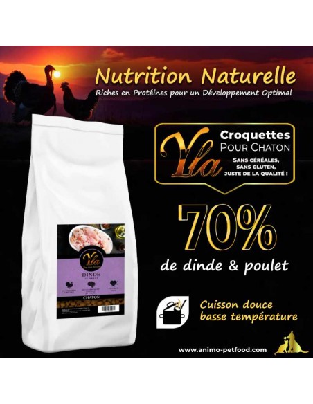 Croquettes pour chaton sans gluten, hypoallergéniques au poulet et dinde, digestion délicate